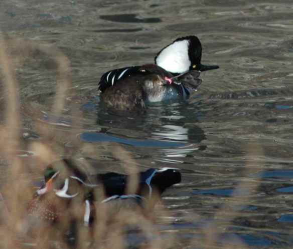 Okay, perfect, hold it - oh no...