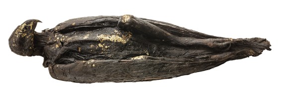Mummified and gilded eagle.Photo by Anna Ressman. Courtesy of the Oriental Institute of the University of Chicago.