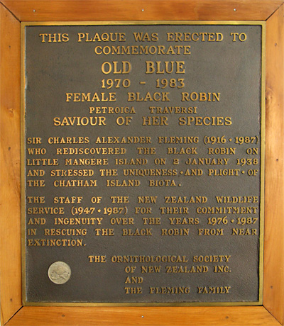 Plaque to Old Blue, "Saviour of her species," at the Chatham Island airport.