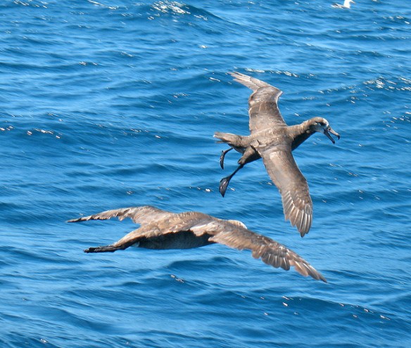 Photo by Ken Schneider