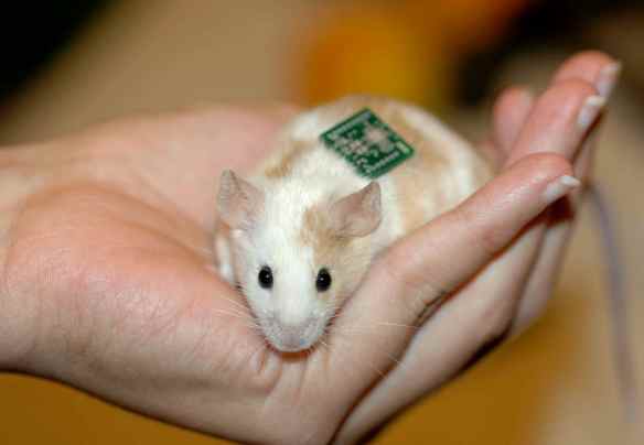 PLEASE just leave me alone.