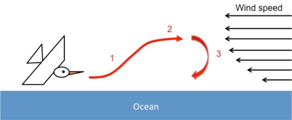 Dynamic soaring diagram