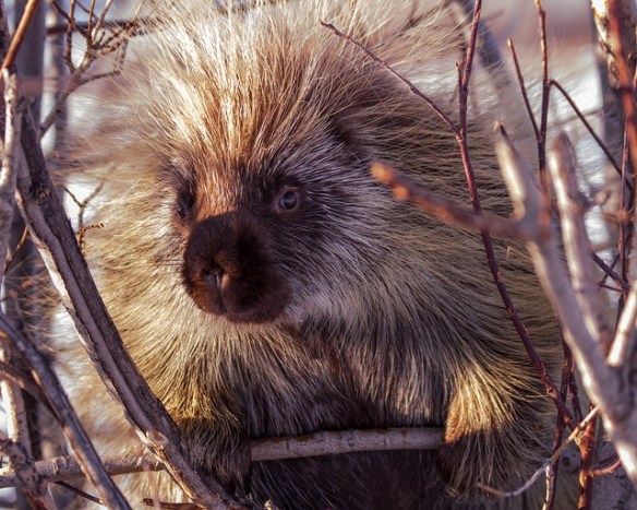 Photo by Heidi Schuyt Photography