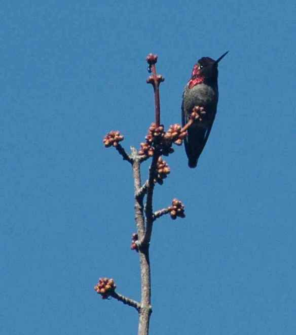 …turns his head…