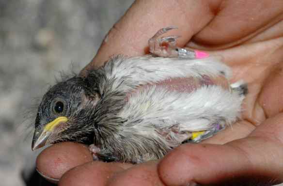 KAMY's bare "baby belly"