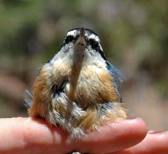 This whole situation is beneath me.