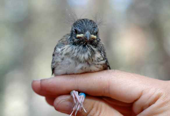 ABEE: As soon as she lets go, I'm outta here.