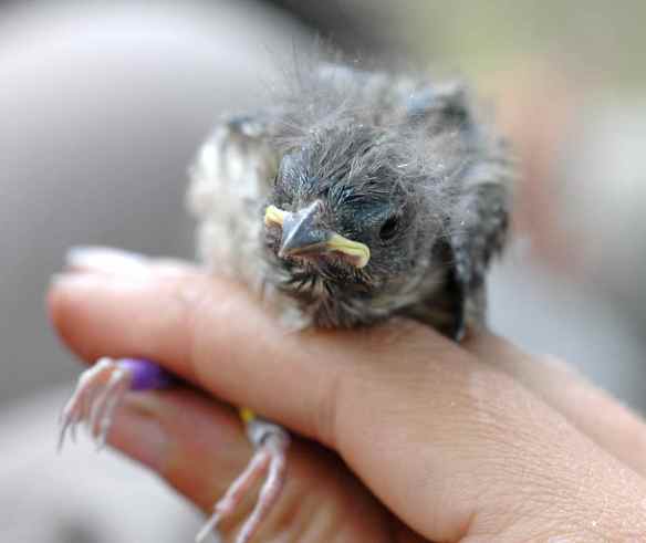 Maybe I should just keep little YAMM for myself? (Spoiler: no.)