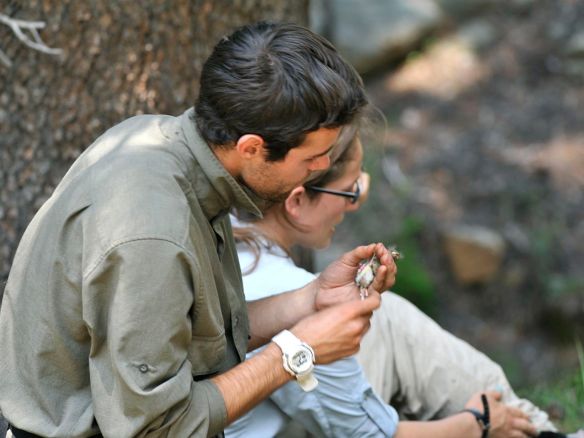 Kyle banding OKRA, with Kia. Photo by M. LaBarbera