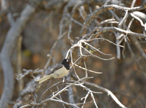 Photo by M. LaBarbera