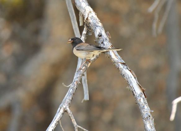 Photo by M. LaBarbera