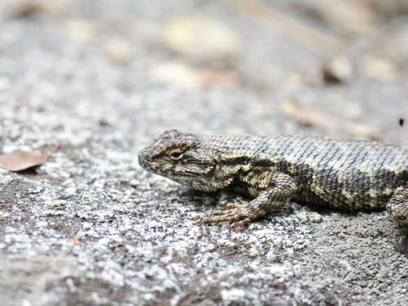 Photo by M. LaBarbera