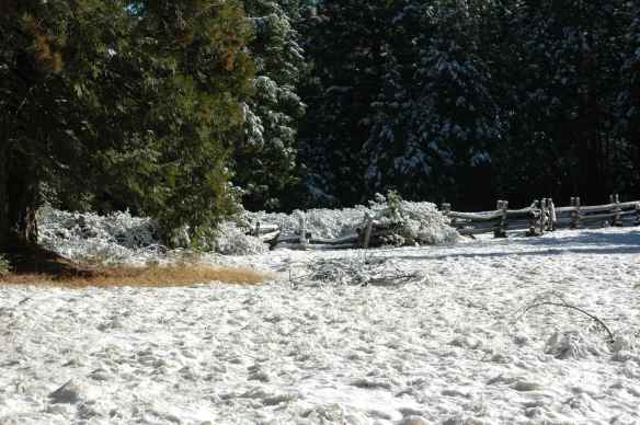In the summer this was a meadow of waist-high grass.