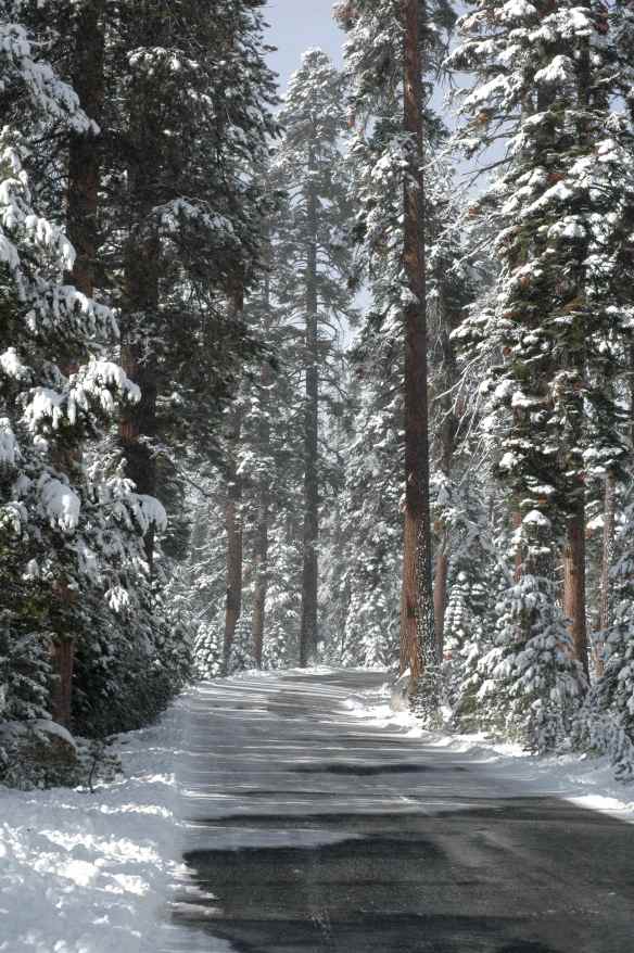 2013_winter_road