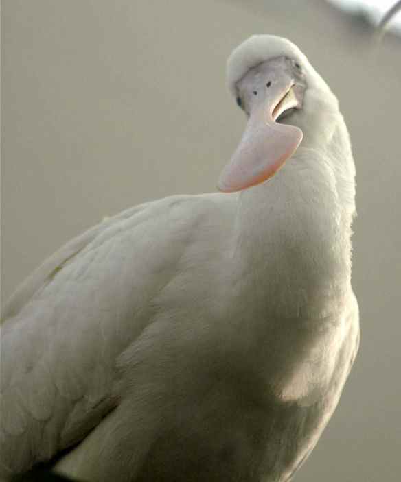 What? Ends up looking this good, you mean?