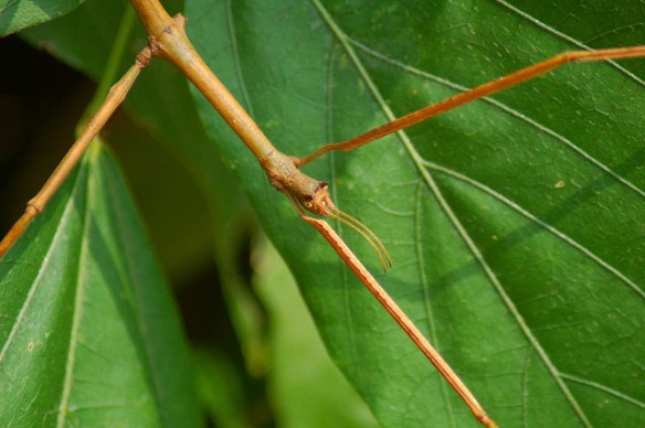 It's a very important problem, for sure. (Photo by Sek Keung Lo)*