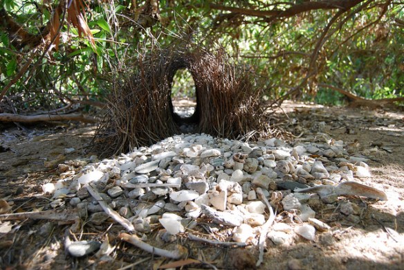 Photo by Natalie Tapson*