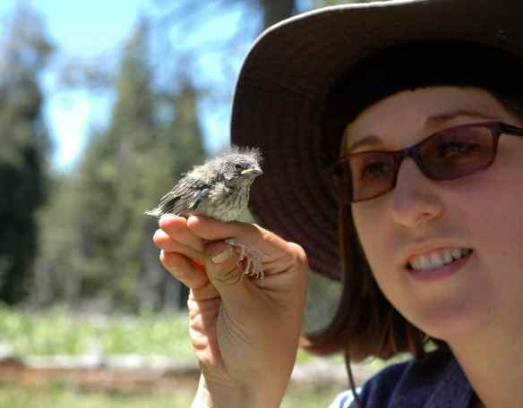 This nestling would really have preferred if I had just stayed on Radio Human and out of his life altogether. Sorry, little guy.