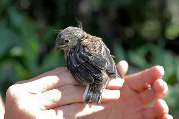 What are you looking at?