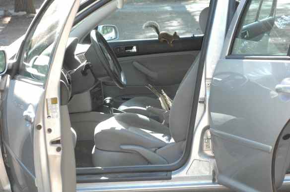 Is the window clean? Not really...