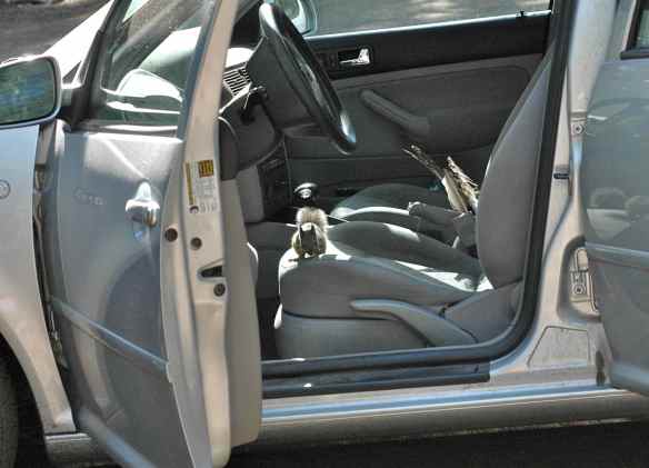 Okay, bounciness check passed. Now what about some snacks for the road?