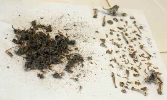 Now that's what I call a party.