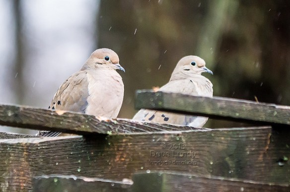 Um... no thanks. Photo by Dave Lundy*