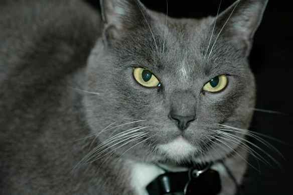 As in all things, I am right and you are wrong about this.