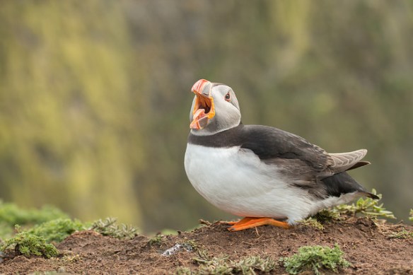 Photo by James West*