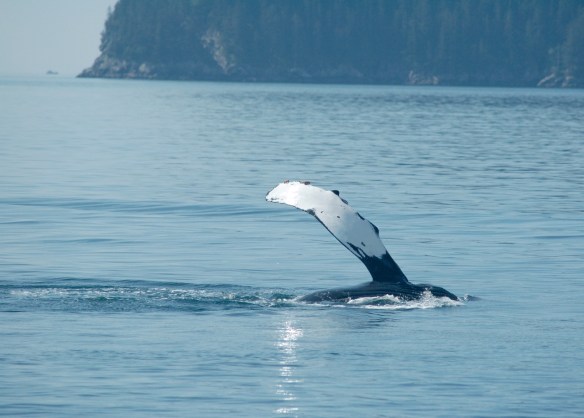 I've got one fluke out of the water.