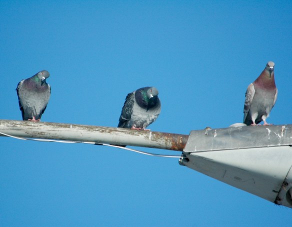 Yeah, that's really bad, kid. You should just give up painting for ever.