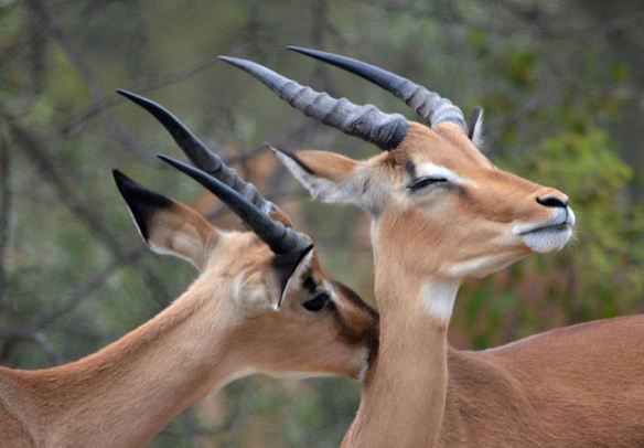 Oooooohhhh yeah that's the spot. Photo by Nick Jonsson*