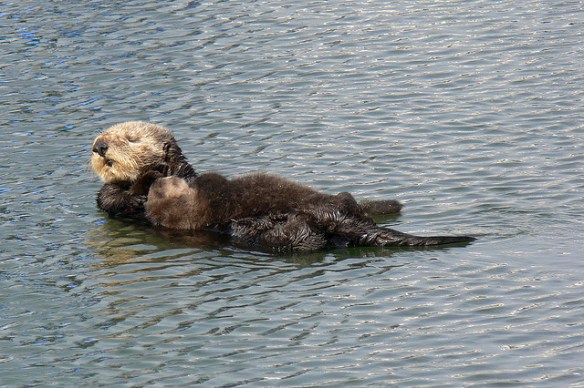 Okay, enough of that. Photo by Jodie Wilson*