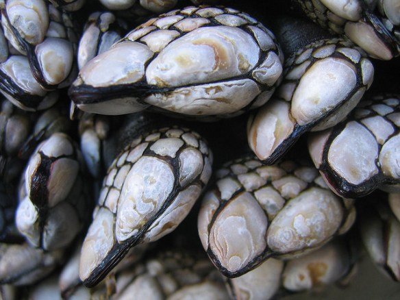 364218463_7371608b00_z