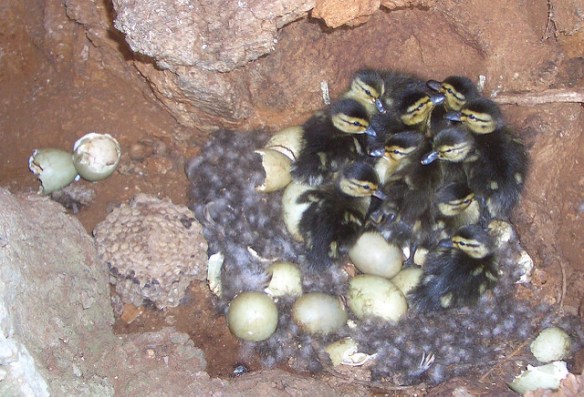 449683065_74ba5d1787_z