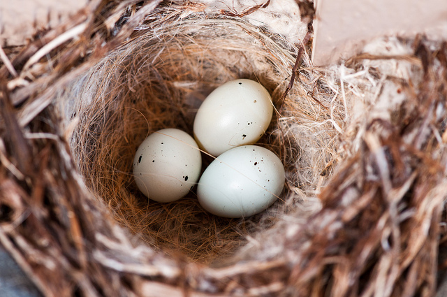 5886390837_0fbe49d395_z