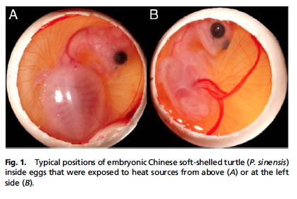 Screen Shot 2017-08-24 at 3.35.04 PM