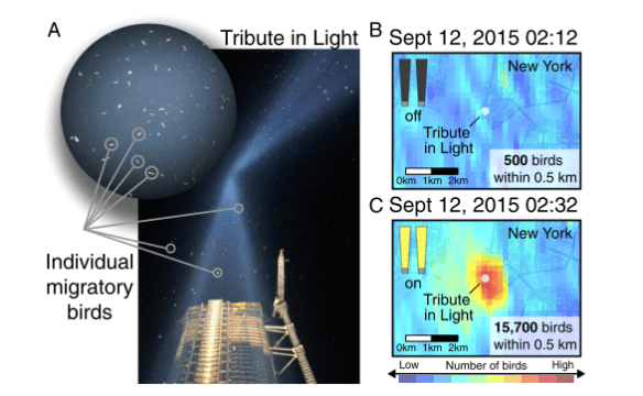 Screen Shot 2017-10-20 at 10.21.31 AM