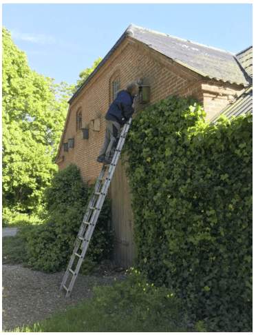 Screen Shot 2017-10-20 at 9.16.48 AM