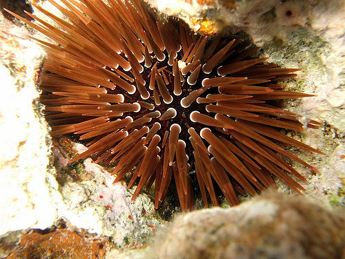 321379143_72880a9343_z