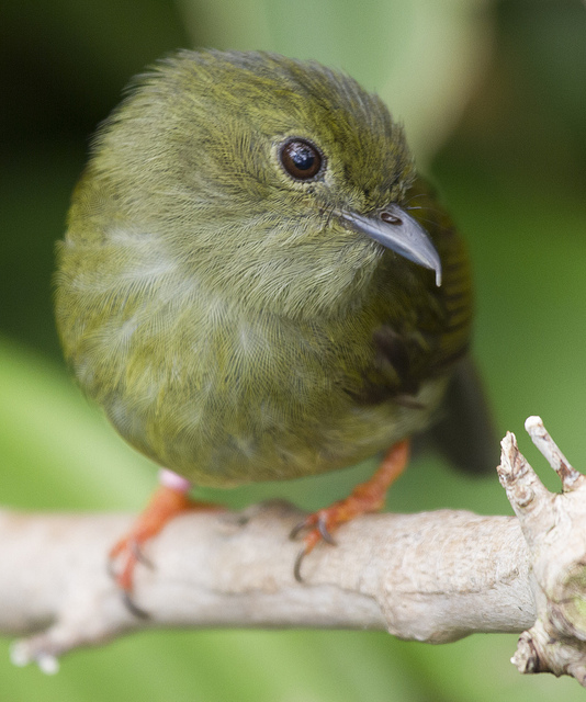 6788002810_f0725e73b0_z