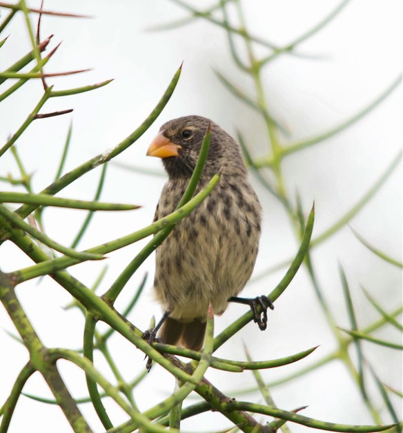 9331754448_201cd27107_z