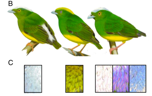 Screen Shot 2018-02-13 at 11.30.55 AM